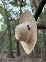 Sombreros De Palma